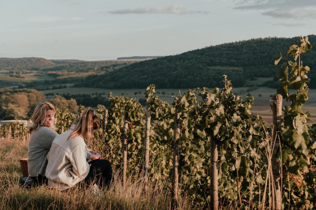 Отель Weingut Und Gastehaus Holger Alt Monzingen Экстерьер фото