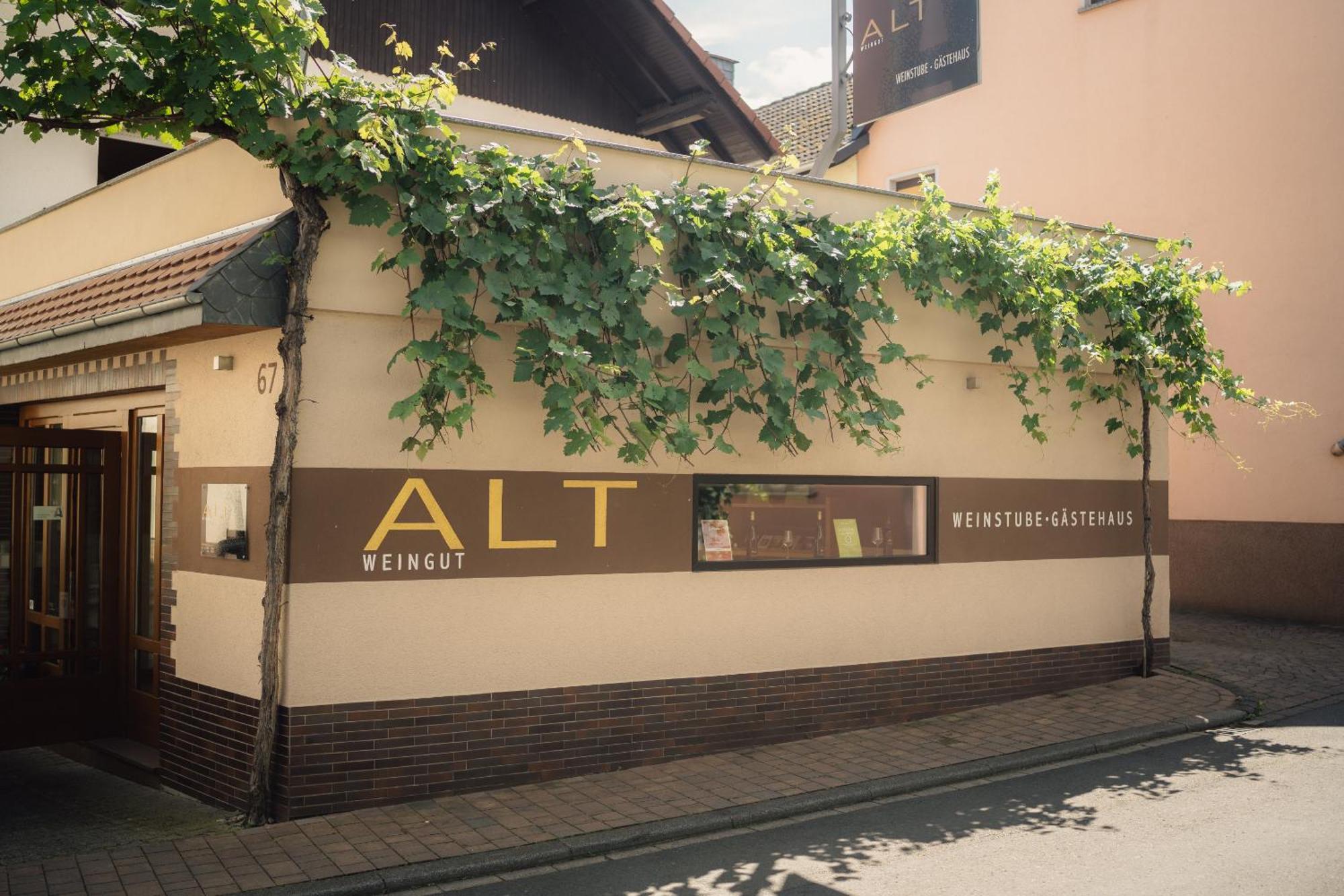 Weingut Und Gaestehaus Holger Alt Monzingen Экстерьер фото