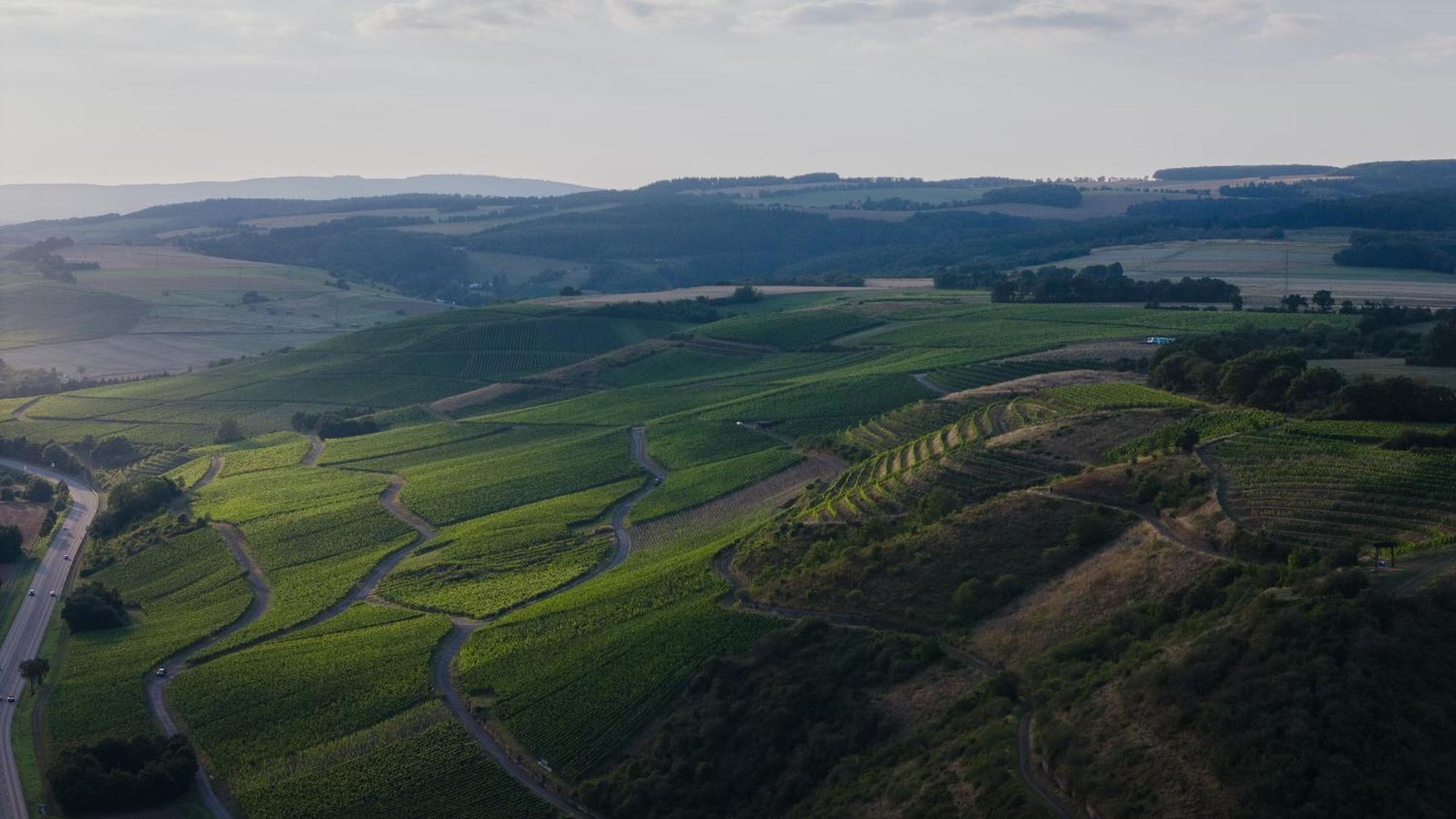 Weingut Und Gaestehaus Holger Alt Monzingen Экстерьер фото